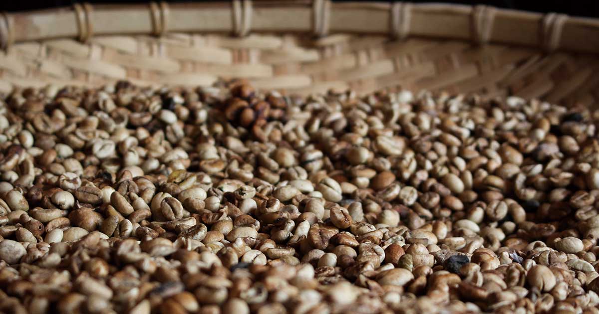 コーヒーの精製とは ナチュラル、ウォッシュトの違い